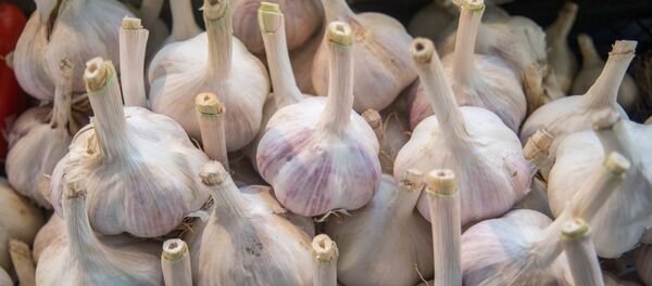 Чеснок - Sputnik Армения