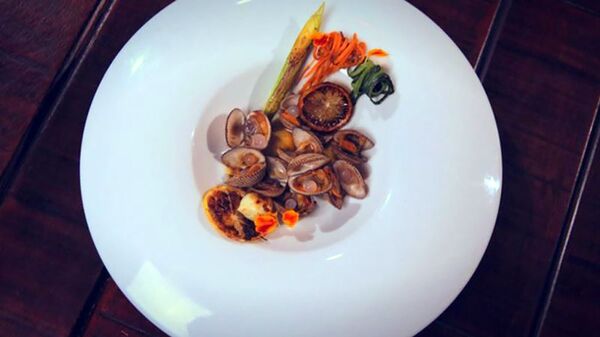 Закуска Асмик Гаспарян, которая завоевала титул шестого украинского МастерШефа на шоу «МастерШеф – 6» - Sputnik Армения