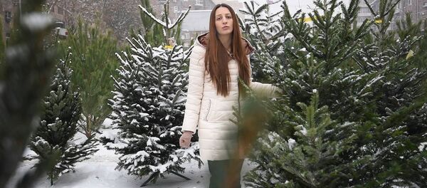 Sputnik Армения рассказывает о том, как правильно выбрать новогоднюю елку - Sputnik Армения