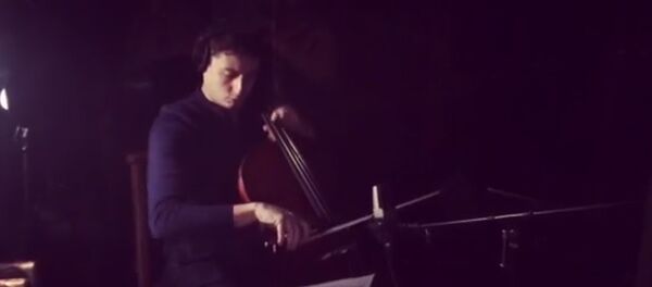 Нарек Ахназарян записывает саундтрек для нового фильма Кустурицы - Sputnik Армения