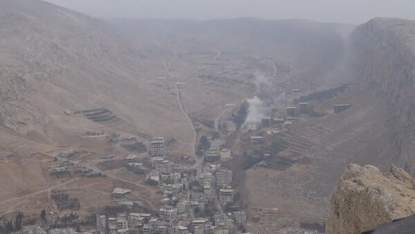 СПУТНИК_Сирийская армия взяла под контроль источник пресной воды в окрестностях Дамаска - Sputnik Արմենիա