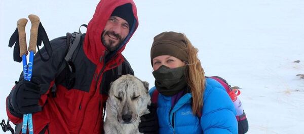 Тасман и Корка сопровождали альпинистов во время одного из походов Тасман и Корка сопровождали альпинистов во время одного из походов - Sputnik Армения