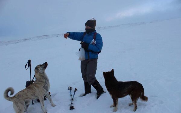 Տասման և Կորկա շներն ուղեկցում էին լեռնագնացներին - Sputnik Արմենիա