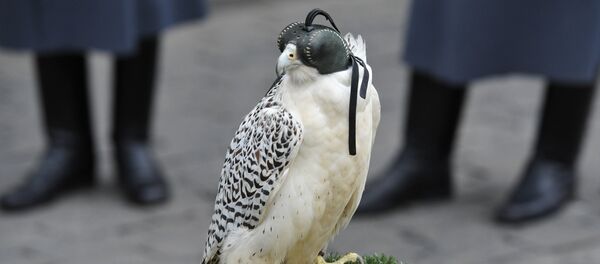 Кречет Кречет - Sputnik Армения