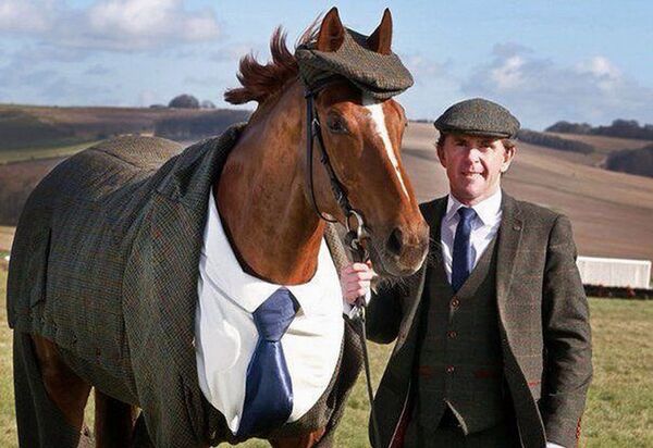 Конь в пальто: в Англии представили первый в мире твидовый костюм для лошади  - Sputnik Армения