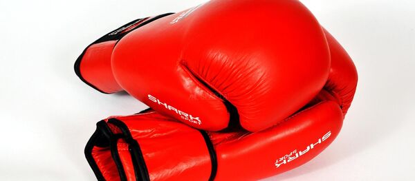 Боксерские перчатки - Sputnik Արմենիա