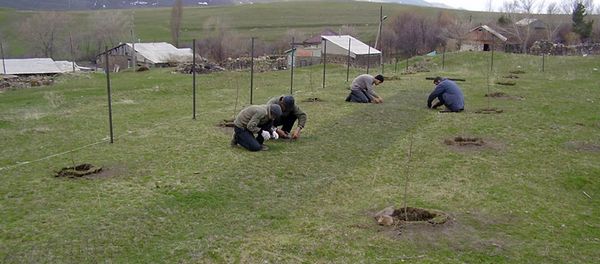Использование солнечной энергии в армянских селах Торос и Басен - Sputnik Արմենիա