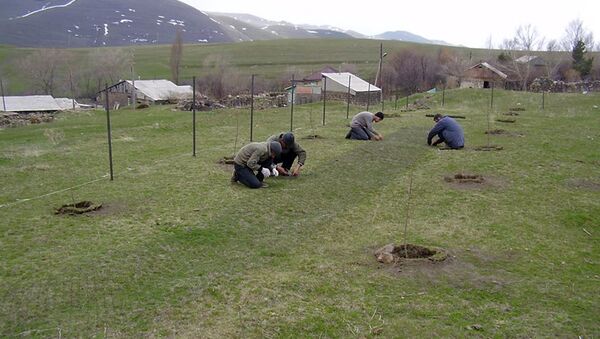 Использование солнечной энергии в армянских селах Торос и Басен - Sputnik Արմենիա