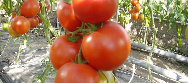 Использование солнечной энергии в армянских селах Торос и Басен - Sputnik Армения