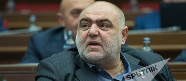 Сейран Сароян. Заседание Национального собрания РА, 08.02.2017 Сейран Сароян. Заседание Национального собрания РА, 08.02.2017 - Sputnik Արմենիա