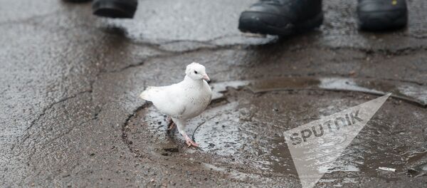 Праздник Св. Саркиса отметили в Ереване - Sputnik Արմենիա