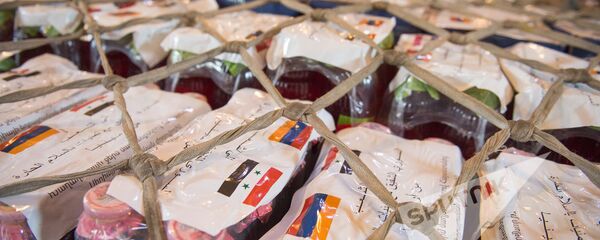 Гуманитарный груз в Сирию из Армении Гуманитарный груз в Сирию из Армении - Sputnik Արմենիա