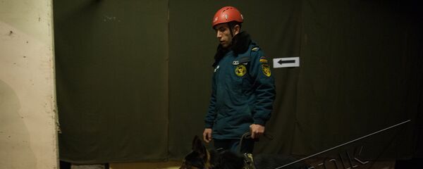 Учебная тренировка МЧС Армении: Организация защиты студентов и сотрудников в случае внезапного нападения противника Учебная тренировка МЧС Армении: Организация защиты студентов и сотрудников в случае внезапного нападения противника - Sputnik Արմենիա