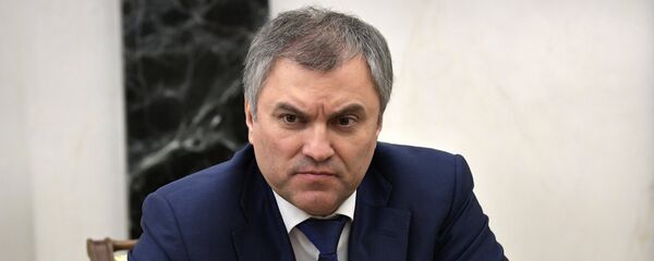 Председатель Госдумы России Вячеслав Володин перед началом совещания Совета безопасности РФ (9 февраля 2017). Москвa - Sputnik Армения