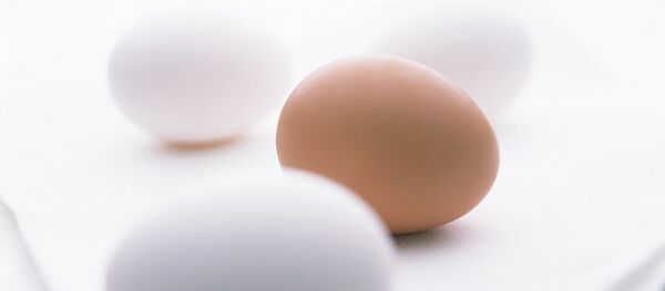 куриные яйца куриные яйца - Sputnik Արմենիա
