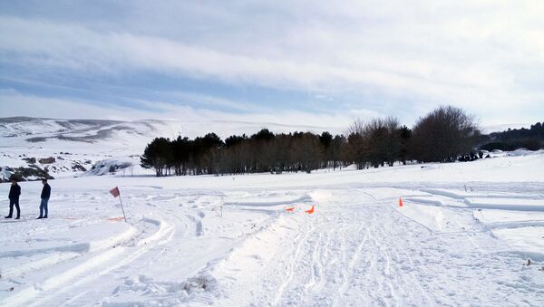 Развитие лыжного спорта в Артике - Sputnik Армения