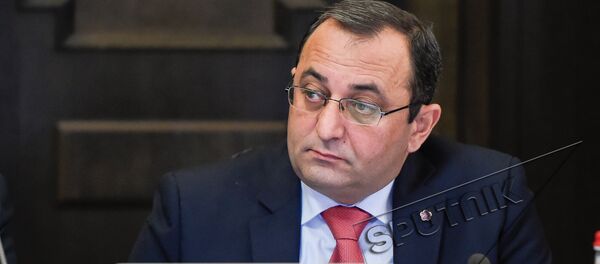 Арцвик Минасян. Заседание Правительства РА 09.03.2017 Арцвик Минасян. Заседание Правительства РА 09.03.2017 - Sputnik Արմենիա