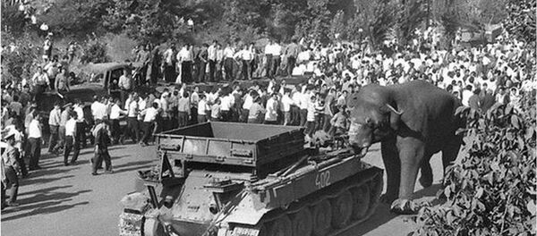 28 июня 1970 года. Слон толкает танк 28 июня 1970 года. Слон толкает танк - Sputnik Արմենիա