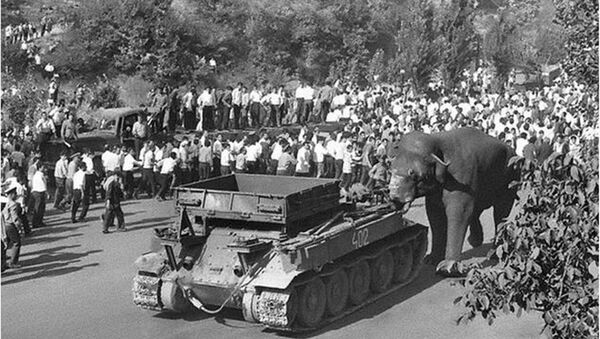 Слон толкает танк - Sputnik Армения