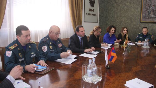 Министр чрезвычайных ситуаций встретился с руководителем Международного комитета Красного Креста - Sputnik Армения