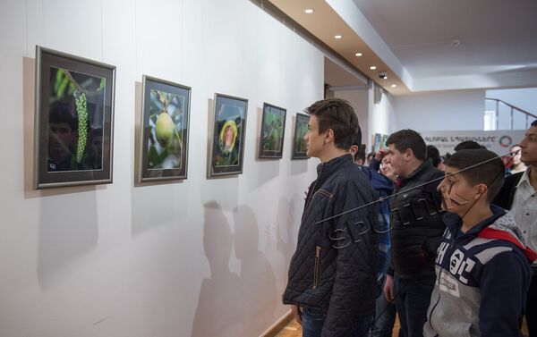 Выставка, приуроченная к Всемирному дню защиты лесов - Sputnik Армения