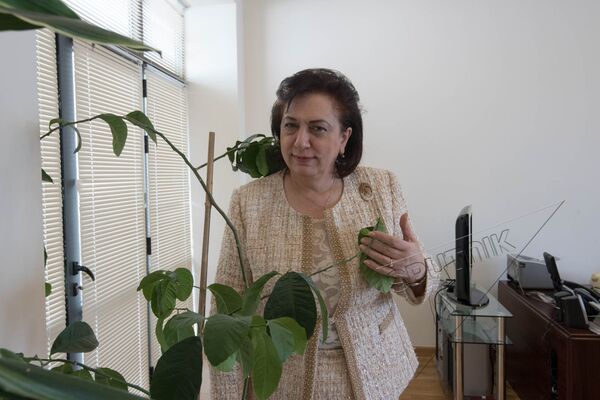 Грануш Акопян Грануш Акопян - Sputnik Արմենիա