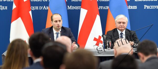 Михеил Джанелидзе и Эдвард Налбандян Михеил Джанелидзе и Эдвард Налбандян - Sputnik Արմենիա