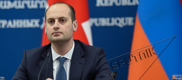 Михеил Джанелидзе Михеил Джанелидзе - Sputnik Армения