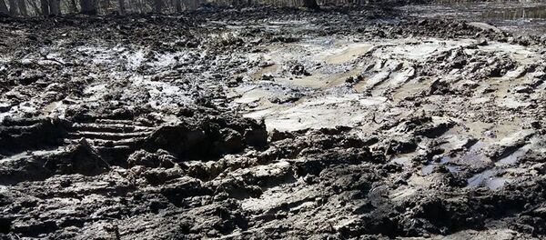 Озеро Гош, Дилижан - Sputnik Армения