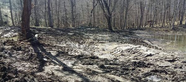 Озеро Гош, Дилижан - Sputnik Армения