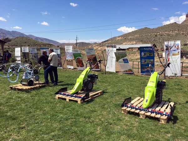 Министр охраны природы Арцвик Минасян посетил Вайоц Дзор Министр охраны природы Арцвик Минасян посетил Вайоц Дзор - Sputnik Արմենիա