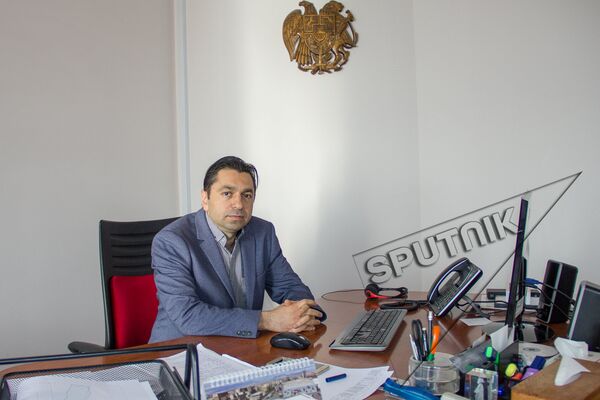 Руководитель отдела управления компании Spayka Карен Багдасарян - Sputnik Արմենիա
