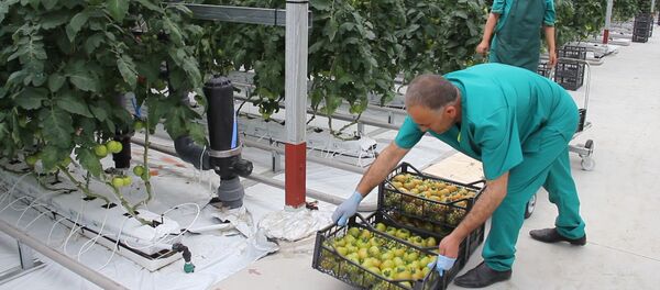 Производство компании Spayka Производство компании Spayka - Sputnik Արմենիա