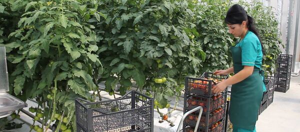 Производство компании Spayka - Sputnik Армения