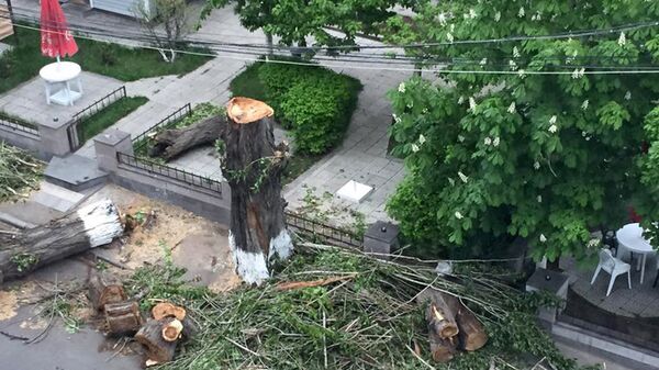 Вырубка деревьев в Арабкире - Sputnik Армения