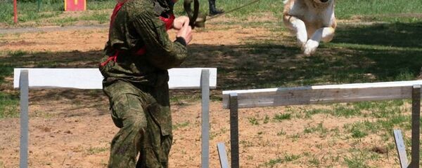 конкурс Верный друг - Sputnik Армения