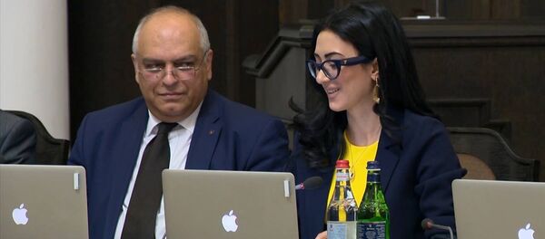 Վարչապետն արդյունավետ աշխատանք մաղթեց Արփինե Հովհաննիսյանին Վարչապետն արդյունավետ աշխատանք մաղթեց Արփինե Հովհաննիսյանին - Sputnik Արմենիա