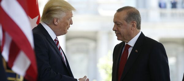 Встреча президентов Турции и США Тайипа Эрдогана и Дональда Трампа в Белом доме - Sputnik Армения