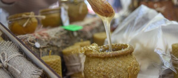 Фестиваль сельской жизни в Ереване Фестиваль сельской жизни в Ереване - Sputnik Армения