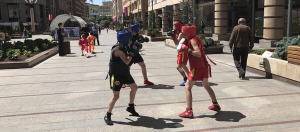 Юные боксеры Юные боксеры - Sputnik Արմենիա