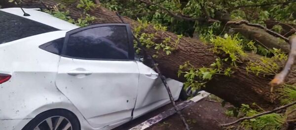 СПУТНИК_Ураган в Москве - Sputnik Армения