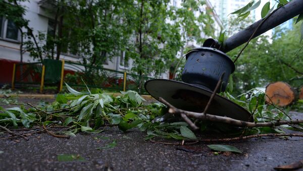 Последствия урагана в Москве - Sputnik Армения