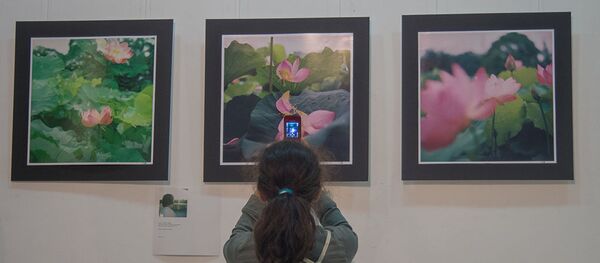 Фотовыставка Art Raccord - Sputnik Армения