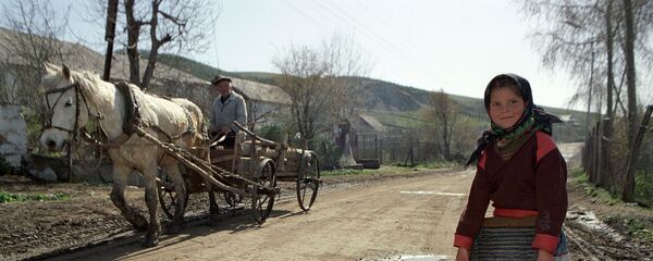 Фиолетово, молокане - Sputnik Армения