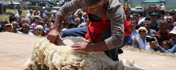 Фестиваль Стрижка овец - Sputnik Армения