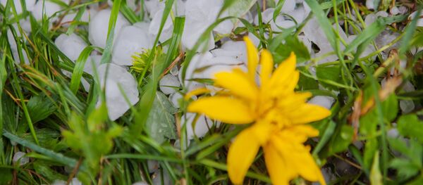 Град. Архивное фото. - Sputnik Армения