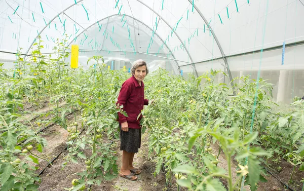 Проект UNDP Развитие местных общин: Учесть мнение каждого при финансовой поддержке Российской Федерации Проект UNDP Развитие местных общин: Учесть мнение каждого при финансовой поддержке Российской Федерации - Sputnik Армения