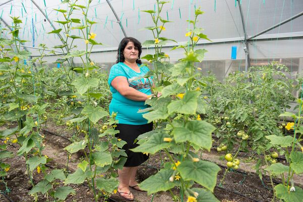 Проект UNDP Развитие местных общин: Учесть мнение каждого при финансовой поддержке Российской Федерации - Sputnik Армения