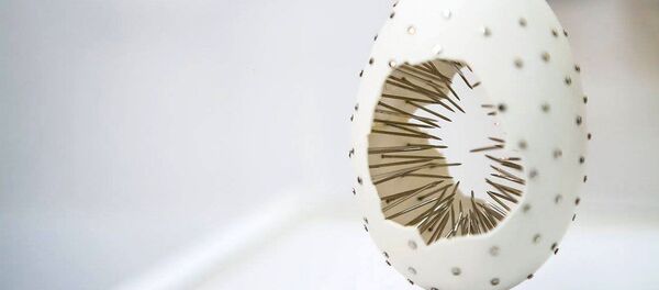 Скульптуры из яичной скорлупы Скульптуры из яичной скорлупы - Sputnik Армения