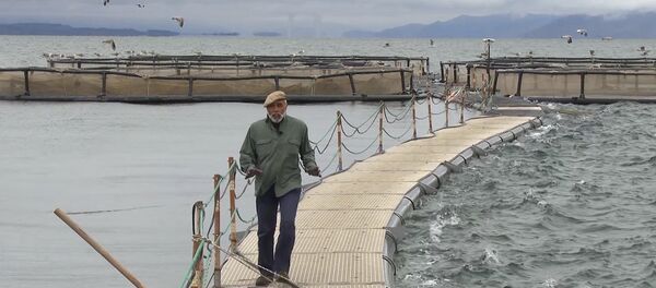 Ишхан, веками обитающий в водах Севана, на грани исчезновения - Sputnik Армения